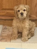 processed/a9def93e-4a34-479f-b147-1b37fd2d4ef7/listing/bf3f1bd8-ea06-4395-b9bc-ccc94df0c498/6781e513-ba83-4314-9ec2-e220a61edf77