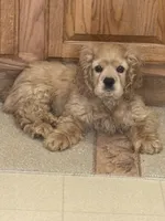 processed/a9def93e-4a34-479f-b147-1b37fd2d4ef7/listing/bf3f1bd8-ea06-4395-b9bc-ccc94df0c498/7f2141f6-033e-4303-aa06-9cac6321c982