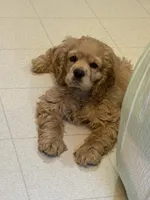 processed/a9def93e-4a34-479f-b147-1b37fd2d4ef7/listing/bf3f1bd8-ea06-4395-b9bc-ccc94df0c498/8e47db7d-9fba-4a34-a2ad-e6e8c9b3e00e