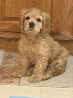 processed/a9def93e-4a34-479f-b147-1b37fd2d4ef7/listing/bf3f1bd8-ea06-4395-b9bc-ccc94df0c498/d0b9c182-4da1-4b1f-9d5e-87cd29589974