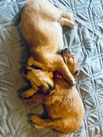 processed/a9e05e15-1c01-4e96-ac89-50148a17c31c/facility/15859a11-51ae-4314-aa25-cbc35f012df1