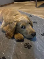 processed/a9e05e15-1c01-4e96-ac89-50148a17c31c/facility/48967e85-53fe-4840-bf56-d310f6ec4c59