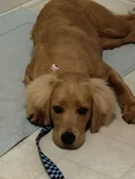 processed/a9e05e15-1c01-4e96-ac89-50148a17c31c/facility/56a06645-c9fd-4e69-b285-9ecca51831e4