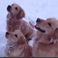 processed/a9e05e15-1c01-4e96-ac89-50148a17c31c/facility/6b6db9e6-6828-4fd5-9bfd-a9fbd2f3bb1d