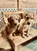 processed/a9e05e15-1c01-4e96-ac89-50148a17c31c/facility/c20c57c0-8e55-43ac-9d7c-05ed6e9d7d7f