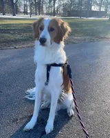 processed/a9e05e15-1c01-4e96-ac89-50148a17c31c/facility/c2a40167-7d0d-460e-9395-3d70286c2dc4