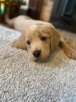 processed/a9e05e15-1c01-4e96-ac89-50148a17c31c/facility/c71a3ca4-a806-4d17-978b-2cd05b332783