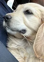 processed/a9e05e15-1c01-4e96-ac89-50148a17c31c/facility/d5d137c7-b957-4d11-ab10-1dc803b07601