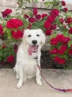 processed/a9e05e15-1c01-4e96-ac89-50148a17c31c/facility/fbce813b-6f80-4ad5-a557-bf87368aa7d2