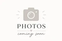 Black and Tan Dapple Wire Dachshund, a male Miniature Dachshund for sale in Pauls Valley, OK – 1 of 1