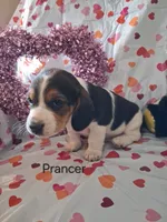 processed/a9ec2e49-527c-4a03-aa15-f49d3be03363/listing/0ffd6e8c-a2b3-41ff-a67d-d32772309eb6/96b6525e-fa0e-4e4c-b8f2-be9a21b4654b