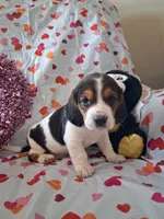 processed/a9ec2e49-527c-4a03-aa15-f49d3be03363/listing/0ffd6e8c-a2b3-41ff-a67d-d32772309eb6/97356f19-a0ef-4465-b459-5a130ee2d586