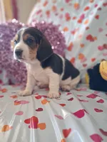 processed/a9ec2e49-527c-4a03-aa15-f49d3be03363/listing/0ffd6e8c-a2b3-41ff-a67d-d32772309eb6/9d07a441-c950-428e-b70f-5ad3e8d2e967