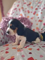 processed/a9ec2e49-527c-4a03-aa15-f49d3be03363/listing/504bef44-1beb-49d8-89b0-b588e277651c/cdbf343a-9d51-4da1-b81f-7ffe247ae928