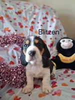 processed/a9ec2e49-527c-4a03-aa15-f49d3be03363/listing/504bef44-1beb-49d8-89b0-b588e277651c/e63f27ab-1589-44cc-be25-c3da4dedb2dc