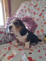 processed/a9ec2e49-527c-4a03-aa15-f49d3be03363/listing/7f30cc5b-de8b-4134-be0d-087bee6427ec/a60b1fd8-f7ef-4708-a8f1-33571772cfc8