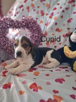 processed/a9ec2e49-527c-4a03-aa15-f49d3be03363/listing/b11e0849-ec86-49fd-93e5-109f544524c1/18aa3a27-d9e6-445c-8145-4edacea4e325