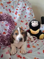 processed/a9ec2e49-527c-4a03-aa15-f49d3be03363/listing/b11e0849-ec86-49fd-93e5-109f544524c1/2374914c-1bb0-47f8-89ee-27d4c2b42fb1