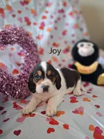 processed/a9ec2e49-527c-4a03-aa15-f49d3be03363/listing/e7c39c98-de74-44d6-a590-491d9b3d5421/49615bf7-6847-46a2-8e38-8eff401720d6