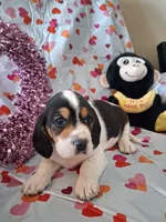 processed/a9ec2e49-527c-4a03-aa15-f49d3be03363/listing/e7c39c98-de74-44d6-a590-491d9b3d5421/626a1213-9897-4b38-b98e-d93b438a3d06