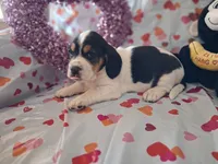 processed/a9ec2e49-527c-4a03-aa15-f49d3be03363/listing/e7c39c98-de74-44d6-a590-491d9b3d5421/7b2ec9aa-3217-41d1-af4a-fe95ea59f8d6