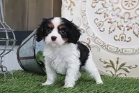 processed/a9ee9470-569d-400c-952a-49a4b8ea71ec/listing/15d1642b-d866-443e-8379-9c88efd6e2ca/38d02dcb-a0fb-4ccb-a89e-9e02a77cdfdd