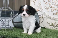 processed/a9ee9470-569d-400c-952a-49a4b8ea71ec/listing/15d1642b-d866-443e-8379-9c88efd6e2ca/41930672-47a0-4d95-86d3-c2dac077c7bd