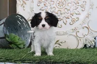 processed/a9ee9470-569d-400c-952a-49a4b8ea71ec/listing/15d1642b-d866-443e-8379-9c88efd6e2ca/72215406-8691-45a2-9a90-197a8b217663