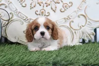 processed/a9ee9470-569d-400c-952a-49a4b8ea71ec/listing/21c1980e-3192-4b49-a832-853478904c74/fbb2672b-306e-4cbe-a5d1-f93f02de375e