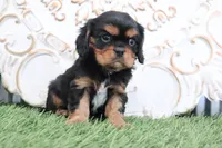 processed/a9ee9470-569d-400c-952a-49a4b8ea71ec/listing/240a8ec7-c930-4bb1-a974-cad8b6b1ce94/350d067b-17dc-40bf-8100-a404ffe593f3