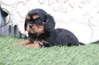 processed/a9ee9470-569d-400c-952a-49a4b8ea71ec/listing/240a8ec7-c930-4bb1-a974-cad8b6b1ce94/6739b00c-22af-4563-ae45-db9e5b0f9179