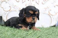 processed/a9ee9470-569d-400c-952a-49a4b8ea71ec/listing/240a8ec7-c930-4bb1-a974-cad8b6b1ce94/a2da24e4-32fe-4813-a665-2dd6f9a2c312