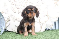 processed/a9ee9470-569d-400c-952a-49a4b8ea71ec/listing/73896173-f1f2-42e7-8925-db675721663c/6a15710a-baeb-40e8-8e57-f3446e0952bc