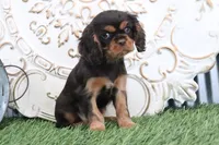 processed/a9ee9470-569d-400c-952a-49a4b8ea71ec/listing/73896173-f1f2-42e7-8925-db675721663c/7be26c6f-081e-4232-8be3-d64eb05a1429