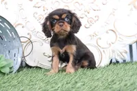 processed/a9ee9470-569d-400c-952a-49a4b8ea71ec/listing/73896173-f1f2-42e7-8925-db675721663c/a7f8fcd3-ff7c-4380-a11c-8adda6df7394