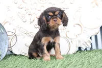 processed/a9ee9470-569d-400c-952a-49a4b8ea71ec/listing/73896173-f1f2-42e7-8925-db675721663c/bc14868e-9bd1-45d7-98e0-362781b44eb2