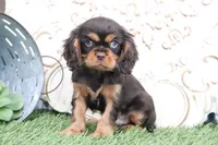 processed/a9ee9470-569d-400c-952a-49a4b8ea71ec/listing/73896173-f1f2-42e7-8925-db675721663c/e0470e22-7eff-43c2-822d-216bc689ca46