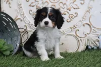 processed/a9ee9470-569d-400c-952a-49a4b8ea71ec/listing/a6337d2b-c116-46e6-b188-c67f5189a4b2/896016ba-3be0-4743-a1e3-c7cb7c0ea872