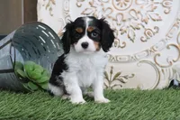 processed/a9ee9470-569d-400c-952a-49a4b8ea71ec/listing/a6337d2b-c116-46e6-b188-c67f5189a4b2/95416b4b-e474-4258-b83a-dafbb530c199