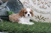 processed/a9ee9470-569d-400c-952a-49a4b8ea71ec/listing/c174dc18-4eef-44e7-8303-3922b8f5b502/4dd941e1-1cb3-41bd-91a5-0417fe1dcc60