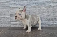 processed/a9f49781-be4f-43be-bfef-743ba574762d/facility/9387e175-284a-4e47-8463-3c4db5897446