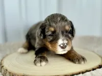 processed/a9f6df29-11e4-4083-a304-6a17694a7e50/listing/0178346c-45ed-4f36-b380-5d7c24b55eff/2f81c636-4d5f-47ea-a823-e2f528e89d00