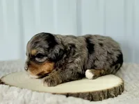 processed/a9f6df29-11e4-4083-a304-6a17694a7e50/listing/0178346c-45ed-4f36-b380-5d7c24b55eff/bd24568b-1527-40b1-b1f4-895dd1846f18