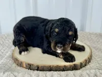 processed/a9f6df29-11e4-4083-a304-6a17694a7e50/listing/279d80fb-eb15-449a-a7d7-0ccc0cfc0c56/8f8b8d36-6827-4c83-a007-09d53cdf8bd5