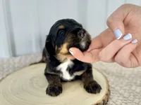 processed/a9f6df29-11e4-4083-a304-6a17694a7e50/listing/279d80fb-eb15-449a-a7d7-0ccc0cfc0c56/a9285800-aba7-4e01-ae76-60bc5f693ce2