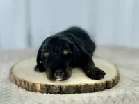 processed/a9f6df29-11e4-4083-a304-6a17694a7e50/listing/279d80fb-eb15-449a-a7d7-0ccc0cfc0c56/f5c1e392-a37a-4eb0-8206-66b4f6c38572