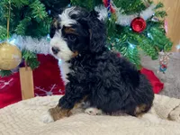 processed/a9f6df29-11e4-4083-a304-6a17694a7e50/listing/42ddce4a-259b-4894-817d-7a28bce4f946/7226edf1-dcee-4032-bf64-22b9f5181d84