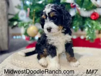 processed/a9f6df29-11e4-4083-a304-6a17694a7e50/listing/42ddce4a-259b-4894-817d-7a28bce4f946/e6c37370-b3a4-492a-aa1d-1479b16a6553