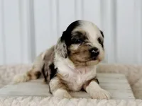 processed/a9f6df29-11e4-4083-a304-6a17694a7e50/listing/47001cfb-147f-4a79-a00b-3e88f6869ae5/dc418f7e-de2d-42da-a4eb-71cca9d16855