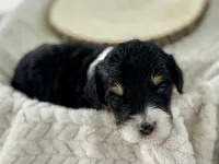 processed/a9f6df29-11e4-4083-a304-6a17694a7e50/listing/564d9224-d08a-4fe0-867d-ed43f11ff5a4/7183f251-5ab5-42b1-9737-4369666f48fe